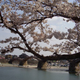 Kintaikyo Bridge, Iwakuni, Yamaguchi, Japan (Jennifer Neal)